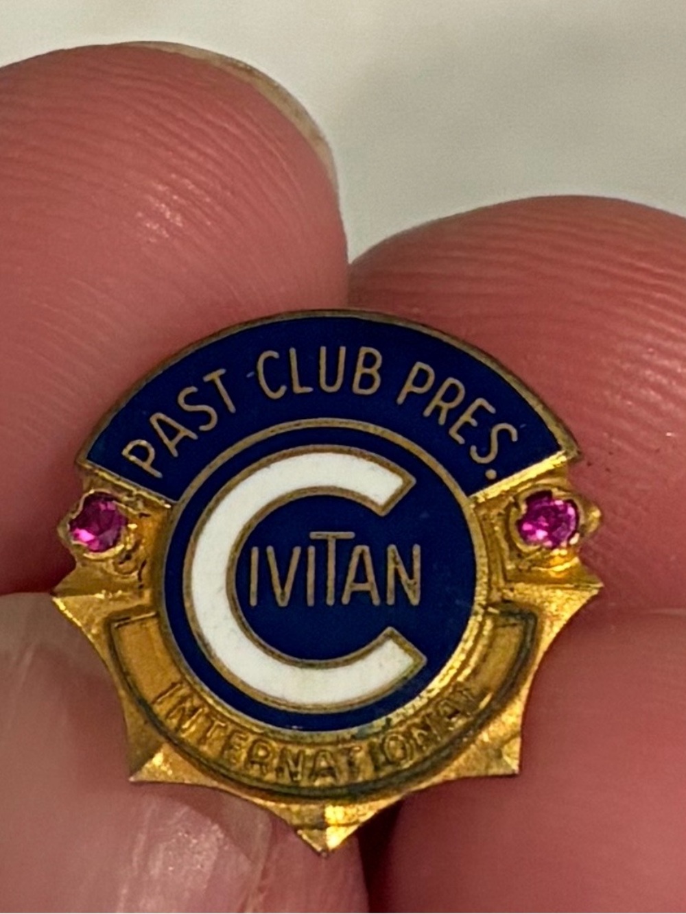Past Club President Gold and Blue Enamel Brooch